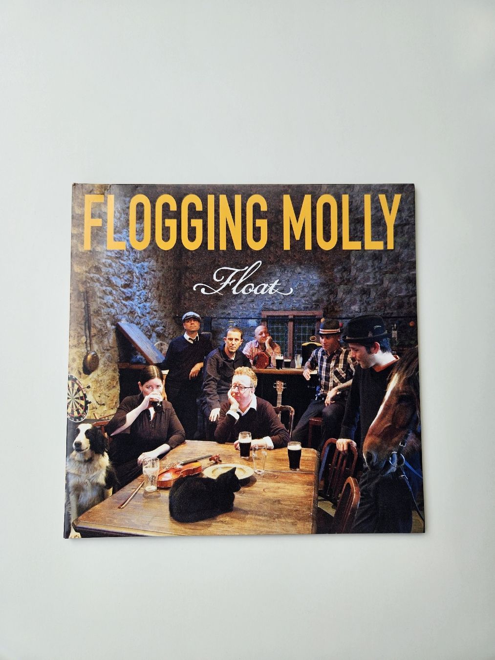 Dischi in vinile: Vinyl Flogging Molly - Float in sehr gutem Zustand – Usato da Zürich venduto da Mme.Sora