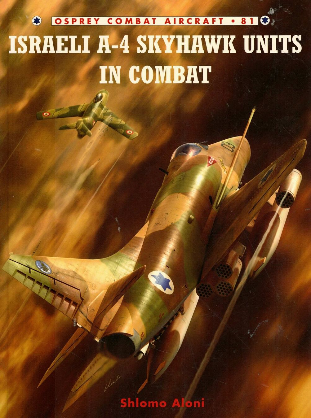 Libri: COM81 - IAF A-4 Skyhawk Units in Combat – Usato da Basel venduto da Dogana