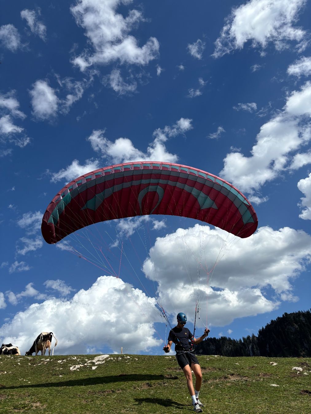 Sport dell'aria & Aquiloni: Odin 14 fluid Wing – Usato da Bulle venduto da cha_t7gg