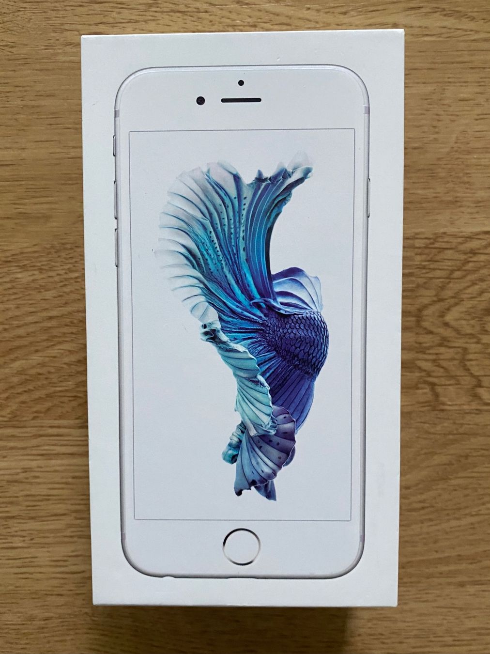 Apple Telefoni cellulari / Smartphones: iPhone 6s silver 32GB – Usato da Rafz venduto da SaintCruz 7