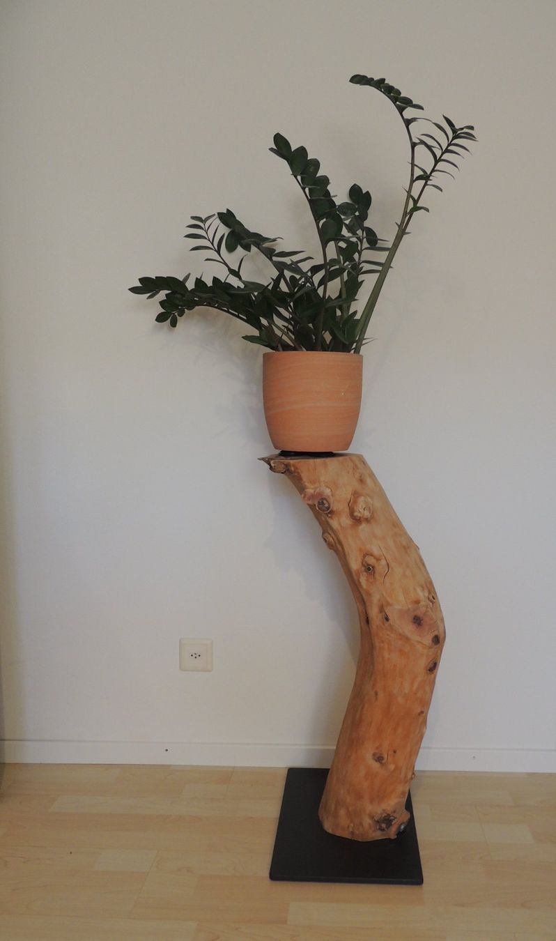 Articoli in legno: Baumstamm / Deko-Säule – Usato da Rickenbach b. Wil venduto da heinz5