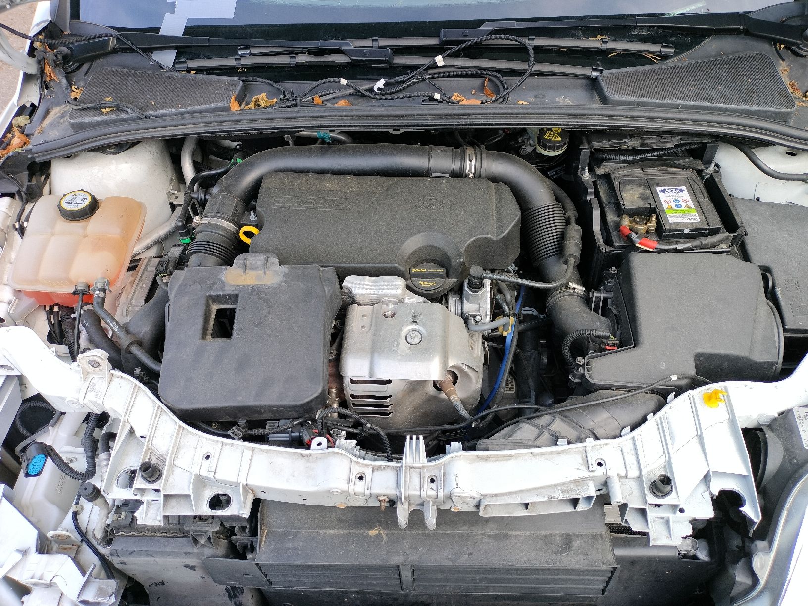 Ford Automobili: Ford Focus – Usato da Seuzach venduto da Flyinghirsch69 7
