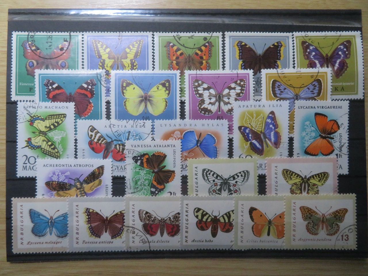 Alle Briefmarken: Schmetterlinge 3 wunderschöne Sätze – Gebraucht aus Spreitenbach von heitersberg54