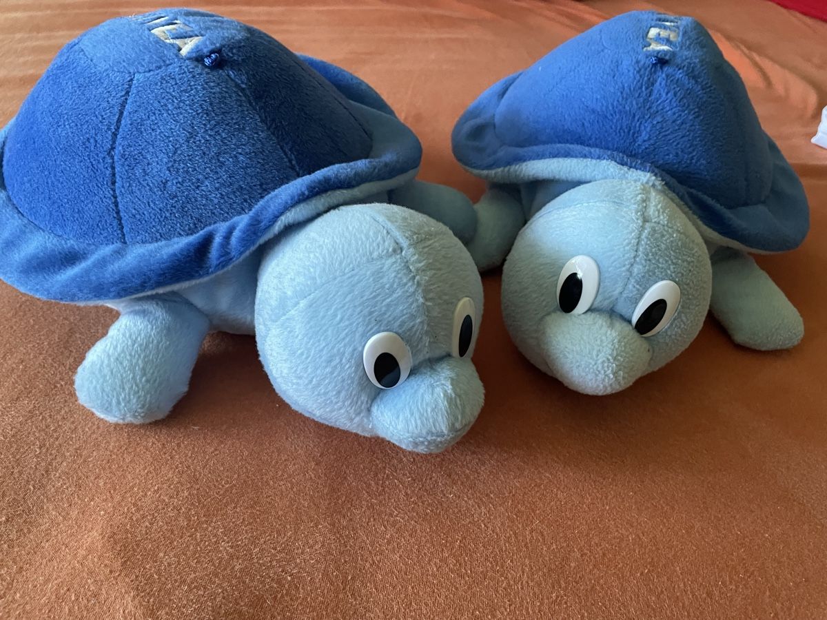 Giocattoli: 2x Stoff Schildkröten, Kuscheltiere Nivea – Usato da Bern venduto da brup 4