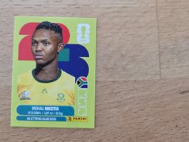 Panini Sticker Südafrika 19