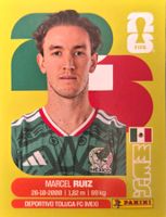 Carte FIFA World Cup 2026 MEX 12