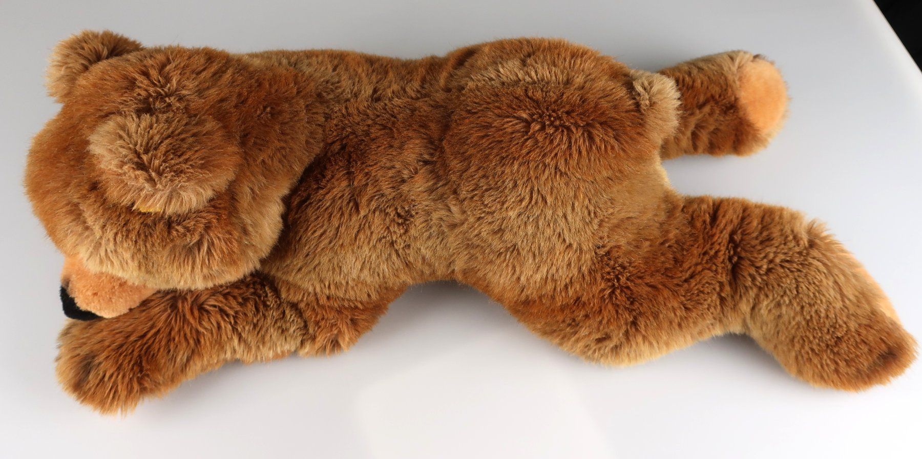 Steiff Spielzeuge: Steiff Braunbär - Stofftier – Gebraucht aus Volketswil von brockipfannenstil 4