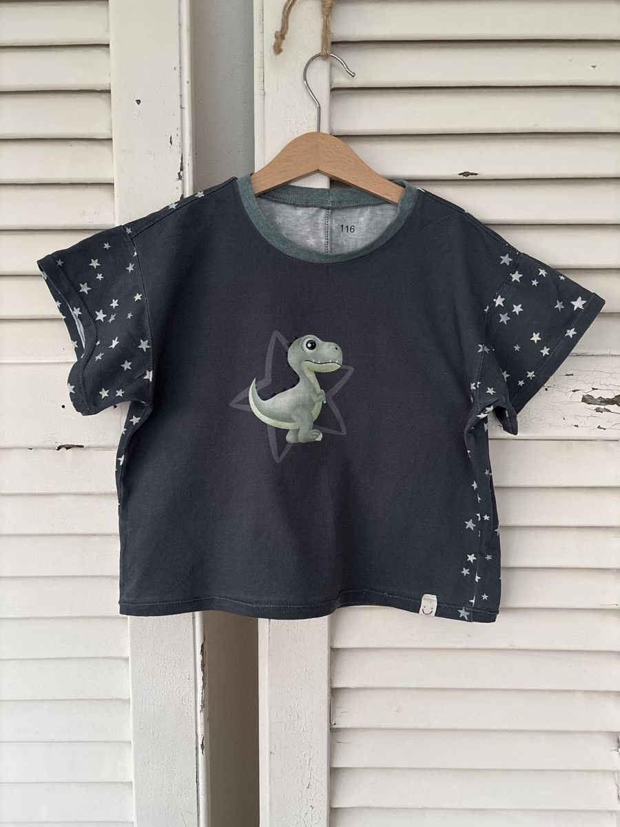 Hemden, T-Shirts & Polos: Dino T-Shirt Gr 110 – Gebraucht aus Mörschwil von Mibasel 2