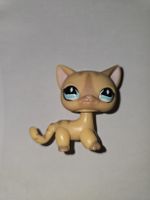 LPS #886 Kurzhaar Katze