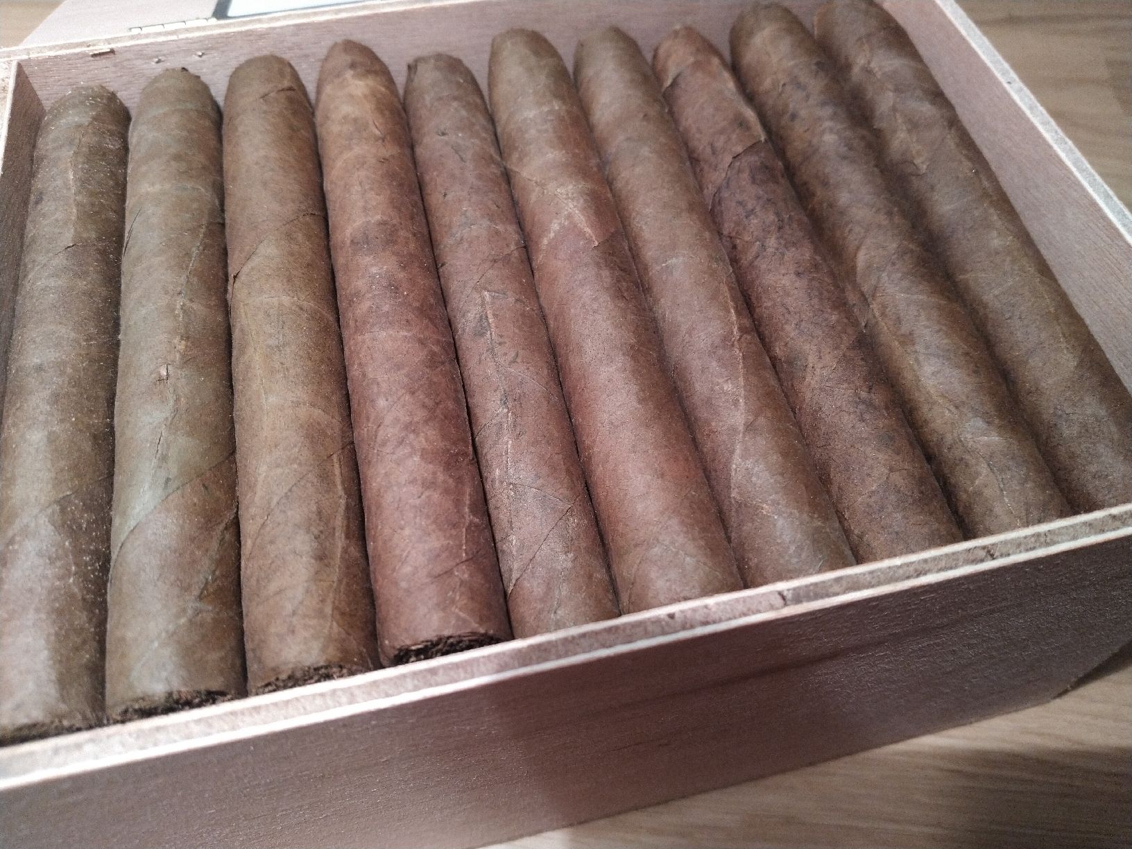 Sigari: 50 Cigars  Woermann Classic 341 Brasil – Nuovo (secondo la descrizione) da Weggis venduto da cherry2000 1