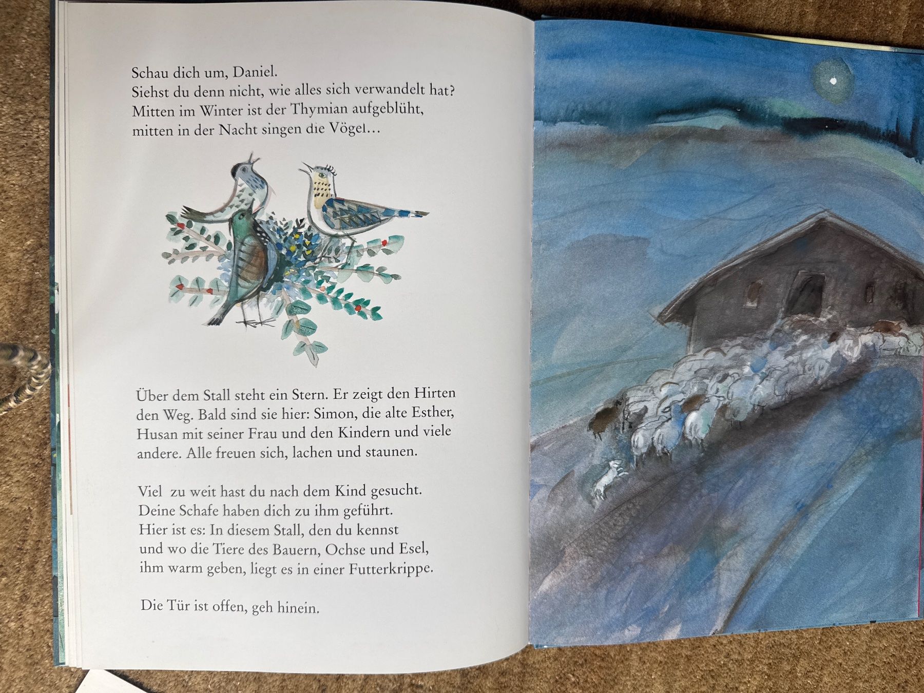 Libri: Daniel - Weihnachtsgeschichte mit Liedern, Gerda Bächli – Usato da Aarau venduto da Kilauea 5