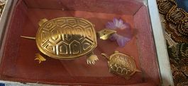 Vintage goldene Glücksbringer Schildkröte