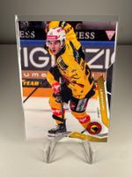 083 Marco Lehmann SC Bern SportZoo 2025/26