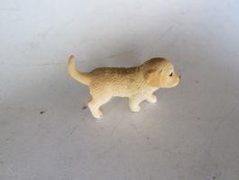 Hund