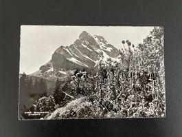 AK GL Braunwald, Ortstock