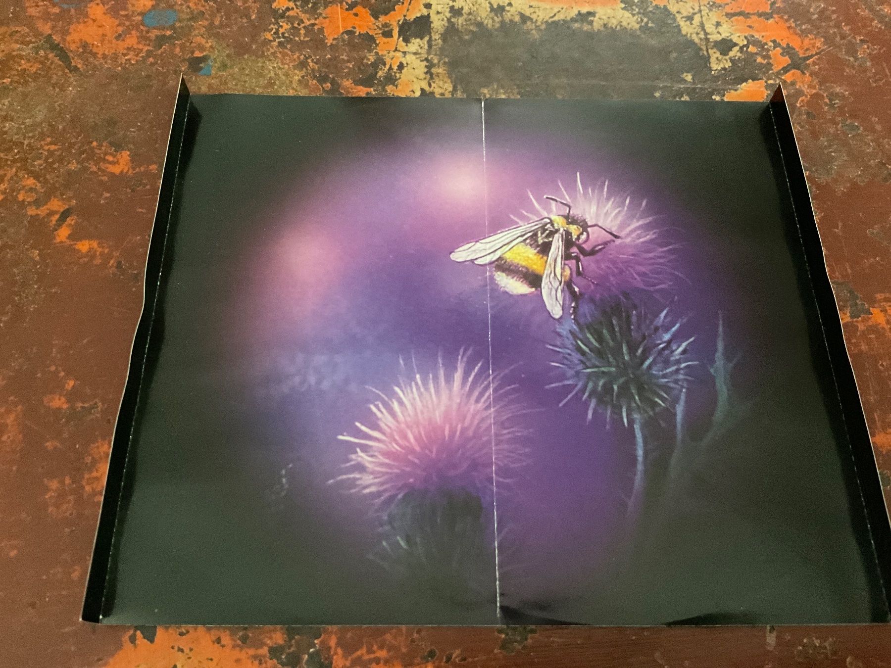 CDs: Steve Thorn Part two: Emotional creatures CD – Gebraucht aus Delémont von vinylfreak01 3