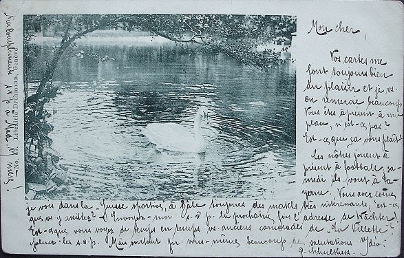 Cartoline postali: YVERDON Schwan im See 1899 – Usato da Jona venduto da philajona