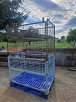 Gitterbox mit Palettenfuss