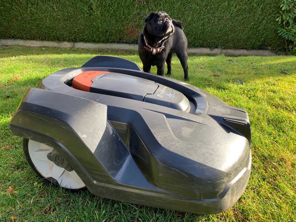 Husqvarna automower 420 Kaufen auf Ricardo