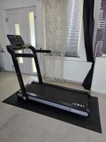 HAMMER Laufband Q. VADIS 3