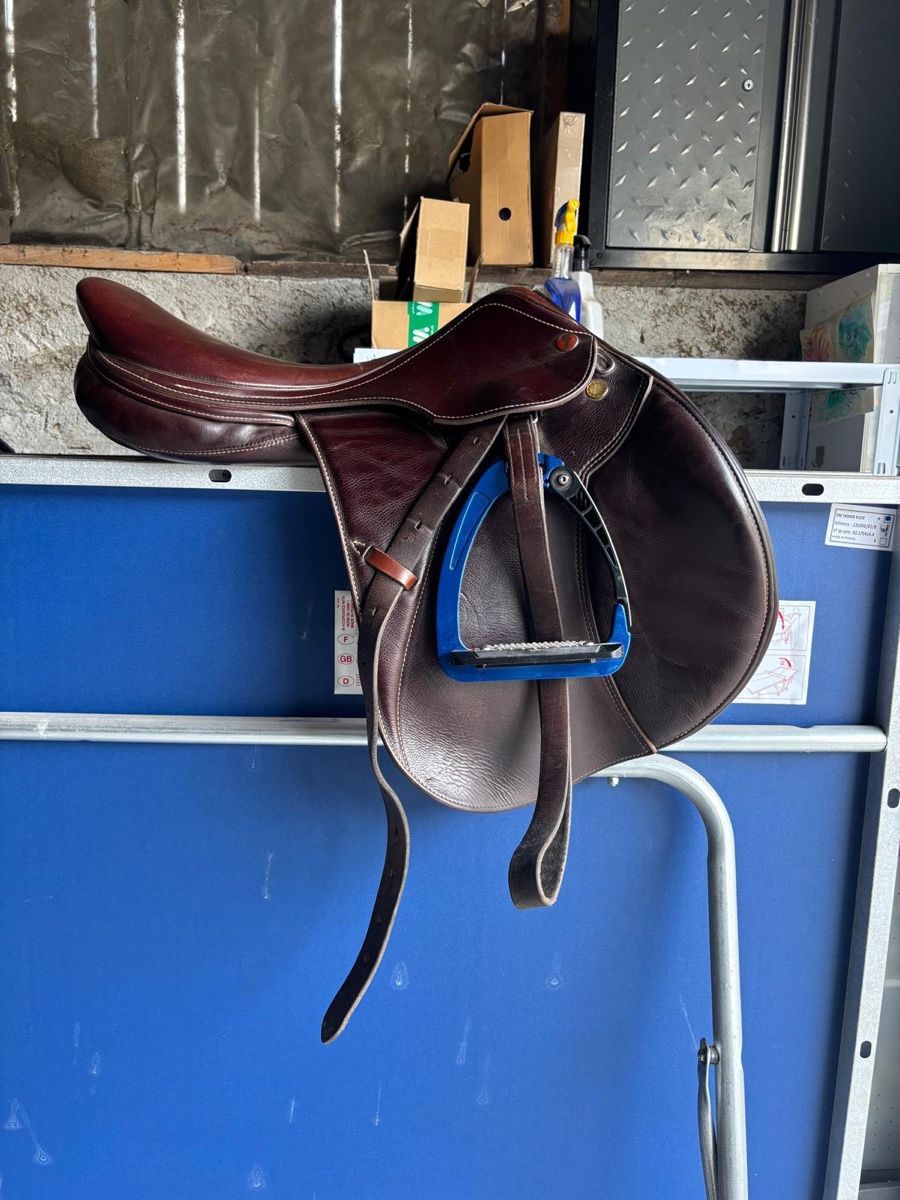 Altro in Accessori per animali: Set di Cavallo – Usato da Airolo venduto da dyl_jn5j 2