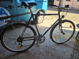Herrenfahrrad tour de suiss