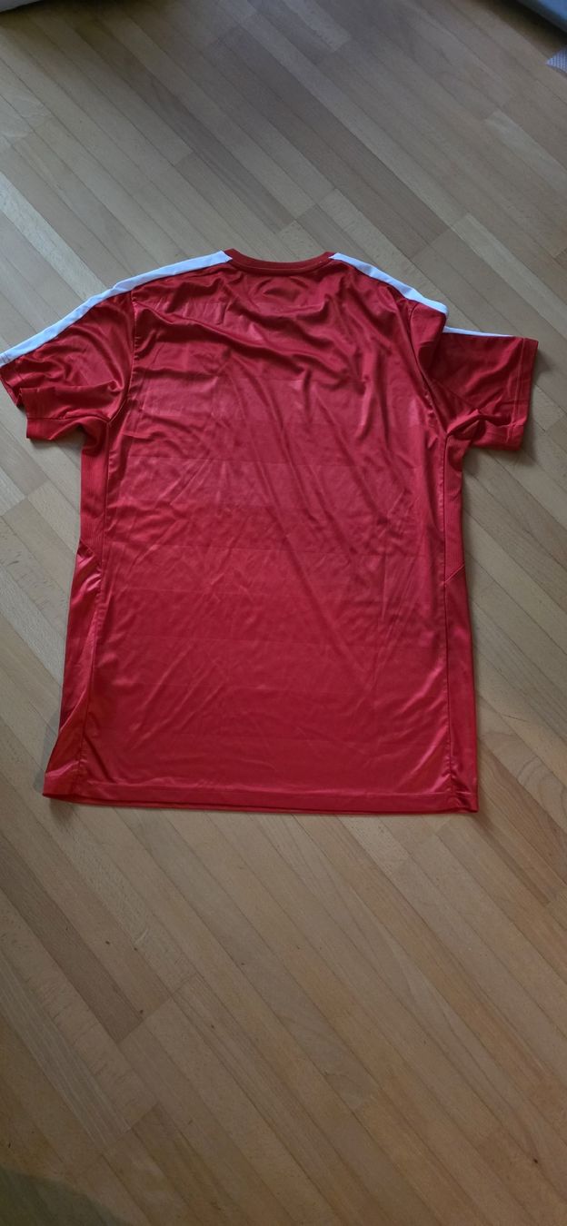 Schweizer Nati Canottiere & Pantaloni: Schweizer Nati Trikot  – Usato da Horn venduto da Exciter6 1