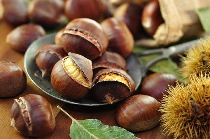 Piante & sementi: Kastanie  Marroni – Usato da Meierskappel venduto da rigihans 1