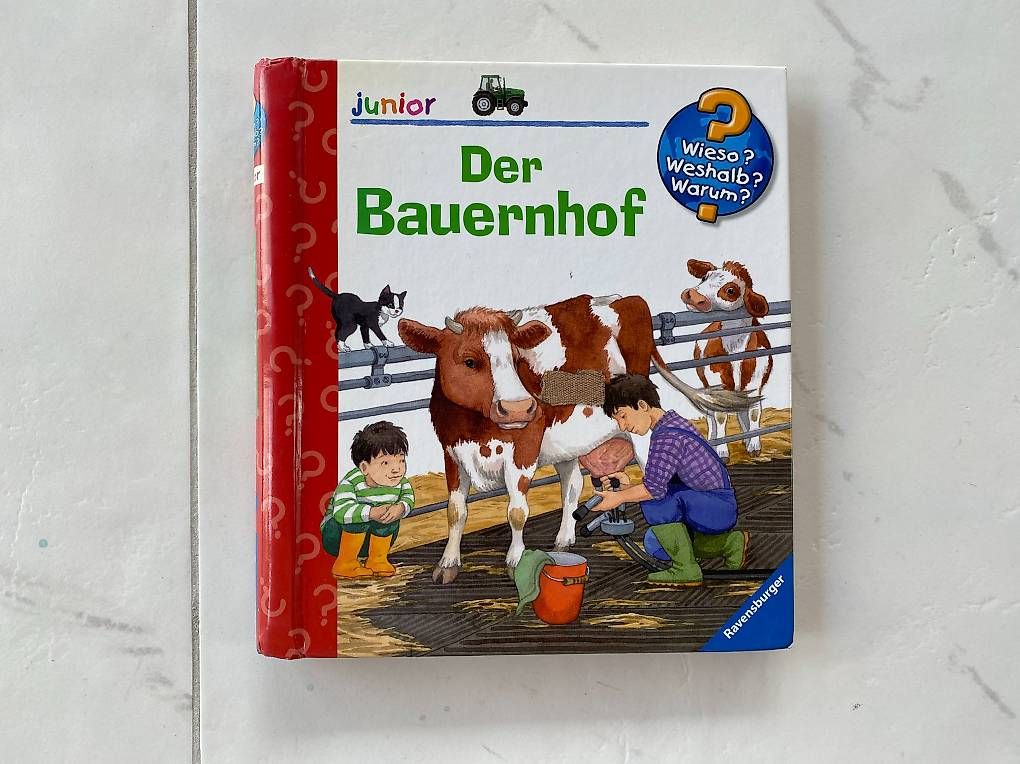 Lotti & Set di vestiti: Kleiderpaket in Grösse 80 – Usato da Wagen venduto da 20Ricola18 4