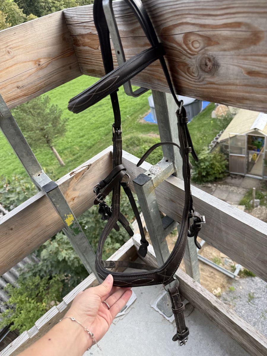 Briglie & Cavezze: Rambo Micklem XL Zaum – Usato da Goldingen venduto da Wibli96 2