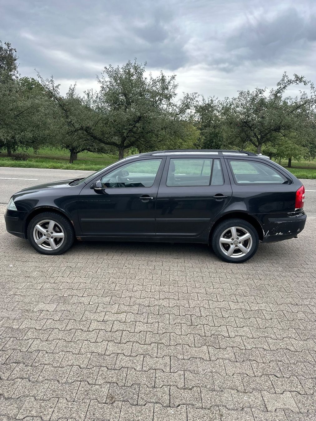 Skoda Automobili: Skoda Octavia Combi 4x4 – Usato da Zuckenriet venduto da DGZ2020 1