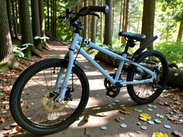 20 Zoll Mountainbike 0.0l/100km Umweltfreundlich Türkis NEU