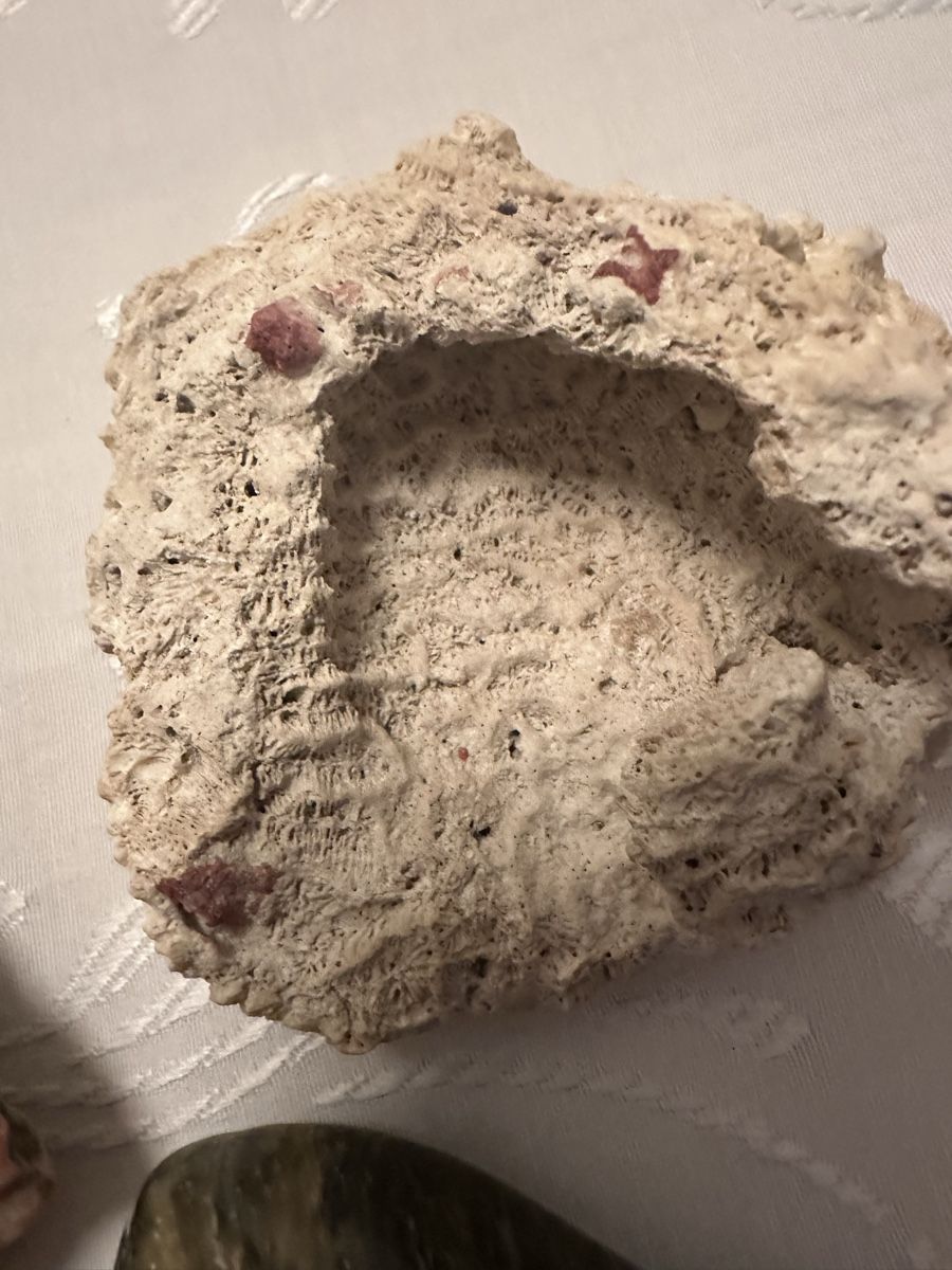 Minerali & Pietre curative: Verschiedene wunderschöne steine. – Usato da Schöfflisdorf venduto da Katrins02 7