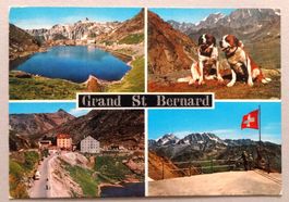 Grand St. Bernard 2469 s.m.