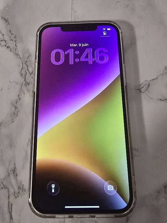 Apple Telefoni cellulari / Smartphones: iPhone 12 Pro Max | 128GB – Usato da Renens VD venduto da MTD2211 2