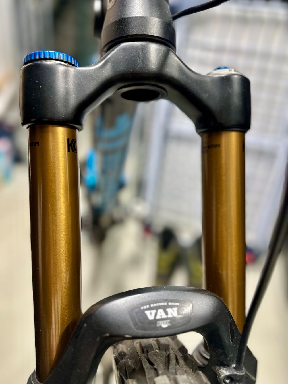 Canyon Biciclette: Canyon Torque FRX Dropzone – Usato da Basel venduto da flo_p29b 5
