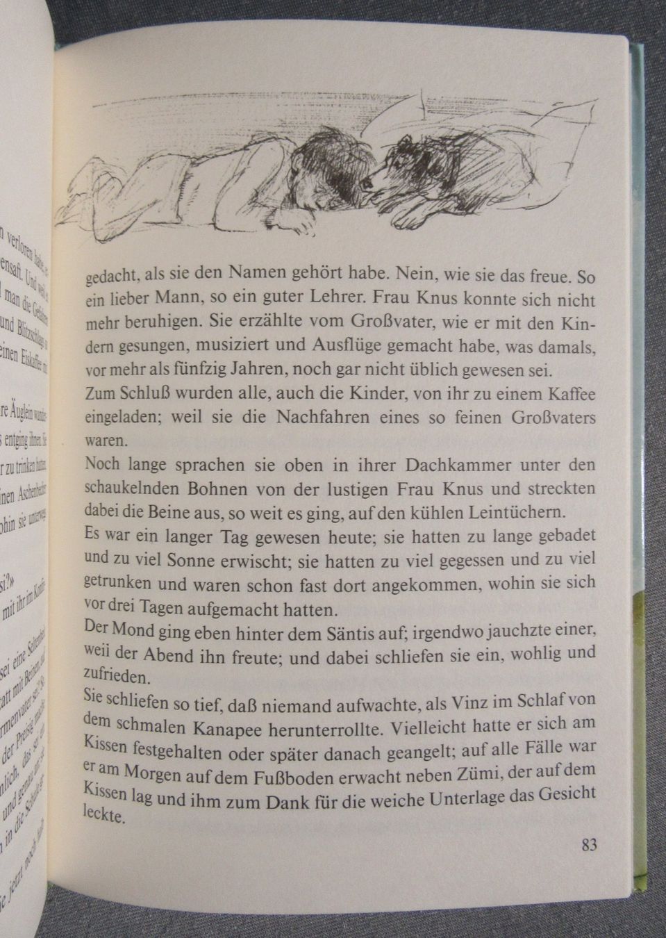 Libri: Möchtest du ein Baum sein - lustige Forschungsreise ... – Usato da Auenstein venduto da Padabimbim 5