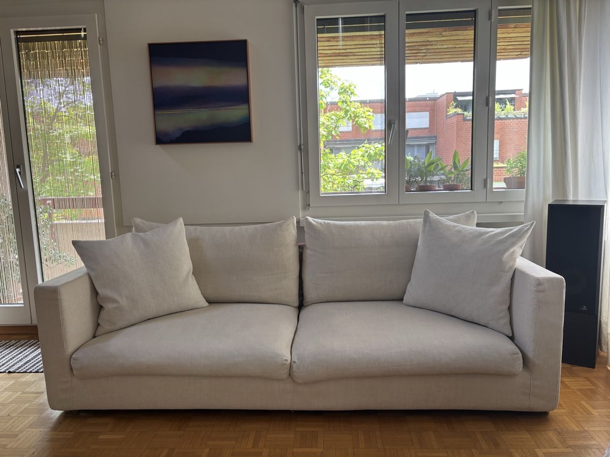 Divani: Sofa Magnum Flexform – Usato da Zürich venduto da Ninoundalex 1