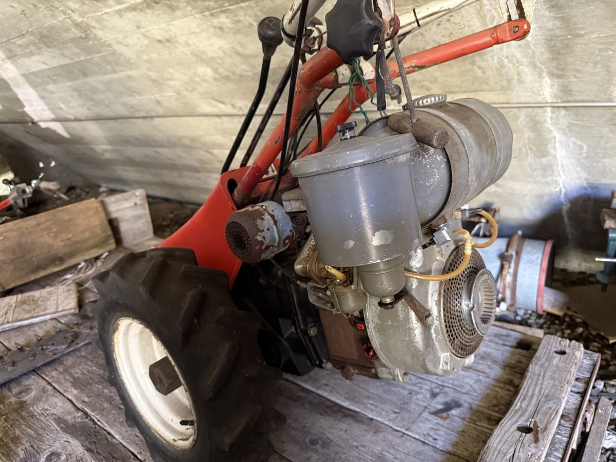 Reform Tutte le macchine: Reform 316 D Motormäher – Usato da Münster venduto da werage 1