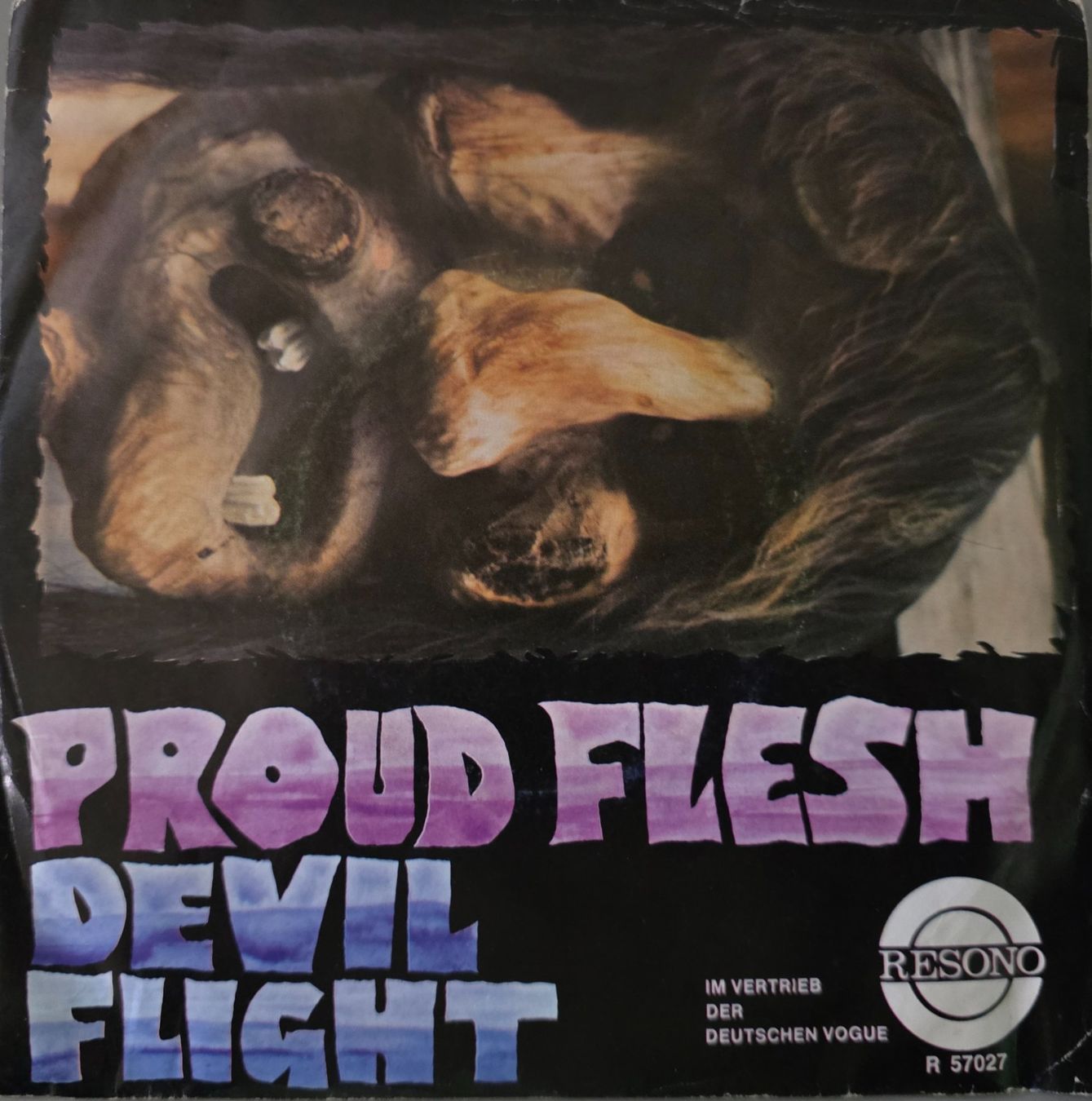 Dischi in vinile: Proud Flesh Single – Devil Flight / Blind – Usato da Root venduto da atelier22 1