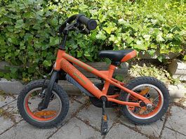 Velo 12"