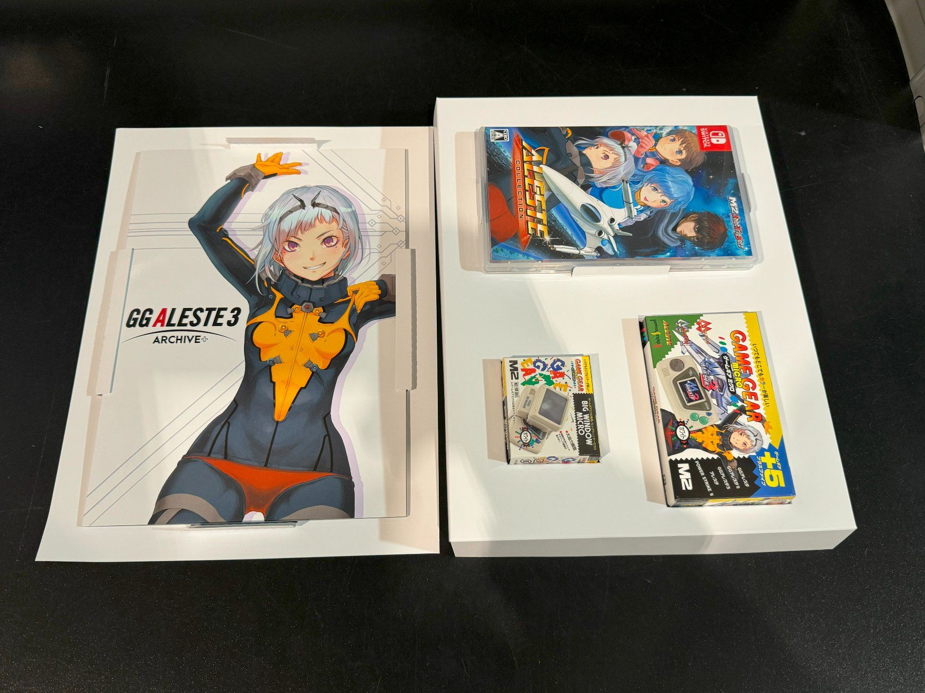 Nintendo Giochi: Aleste Collection [Game Gear Micro Limited Edition] Switch – Usato da Wil SG venduto da NICK222 3