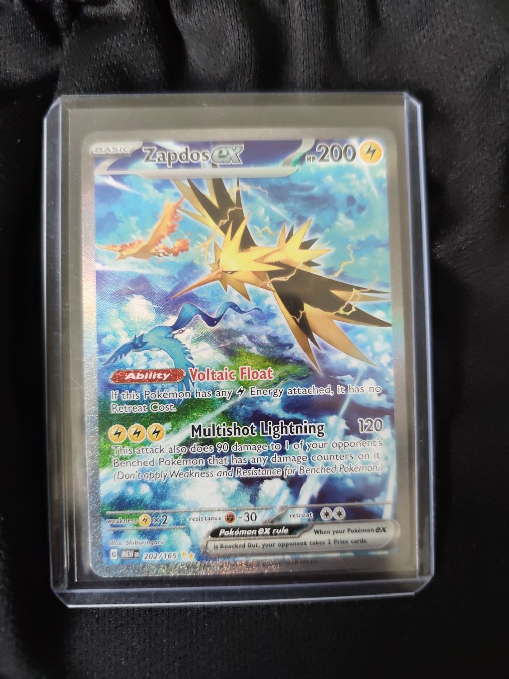 Pokémon Cartes à collectionner: Zapdos ex #202 EN – D'occasion à Biel/Bienne par gela111