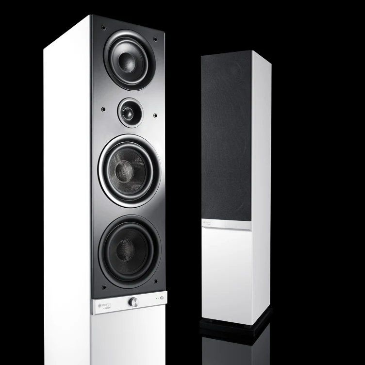 Teufel Casse acustiche: TEUFEL RAUMFELD SPEAKERS L  BLACK – Usato da Viganello venduto da XTECHSTOREX
