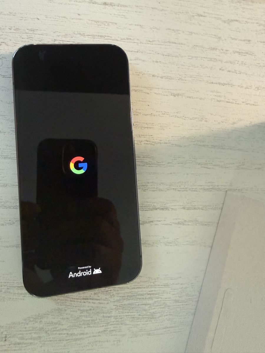 Google Telefoni cellulari / Smartphones: Google Pixel 9 Pro 128GB Obsidian, Top Zustand – Usato da Unterendingen venduto da luifly 2