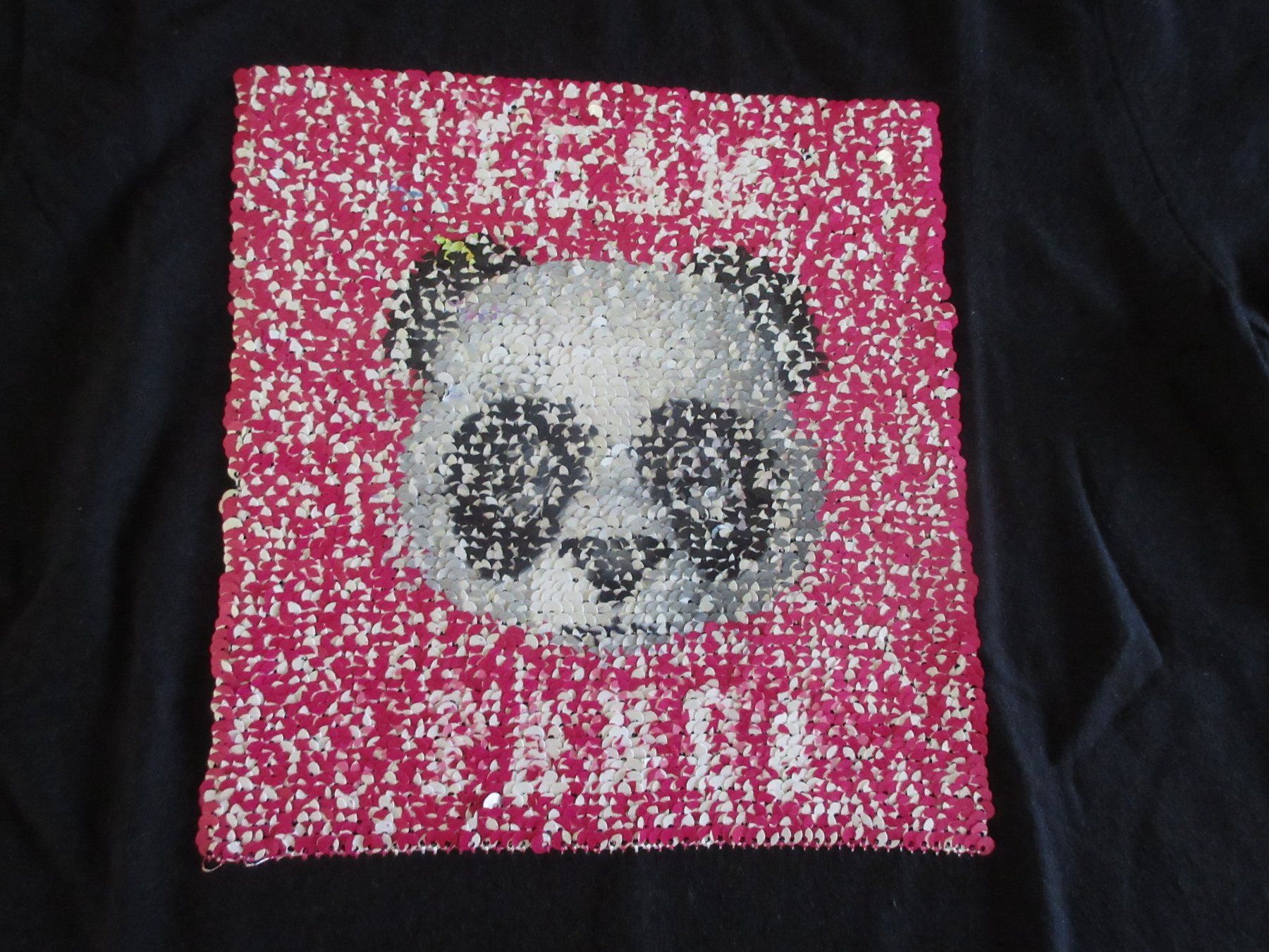 H&M Camicette, T-shirt & Top: T-Shirts Grösse 146/152 – Usato da Kaisten venduto da renault015 2
