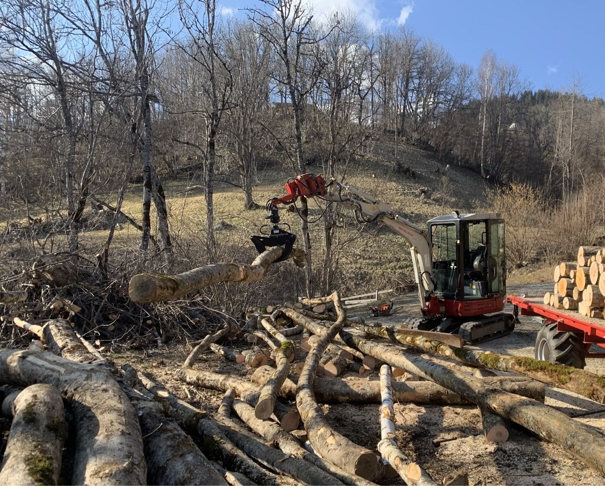 Pinze: Holzgreifer für Bagger – Usato da Schlans venduto da nAAtii 5