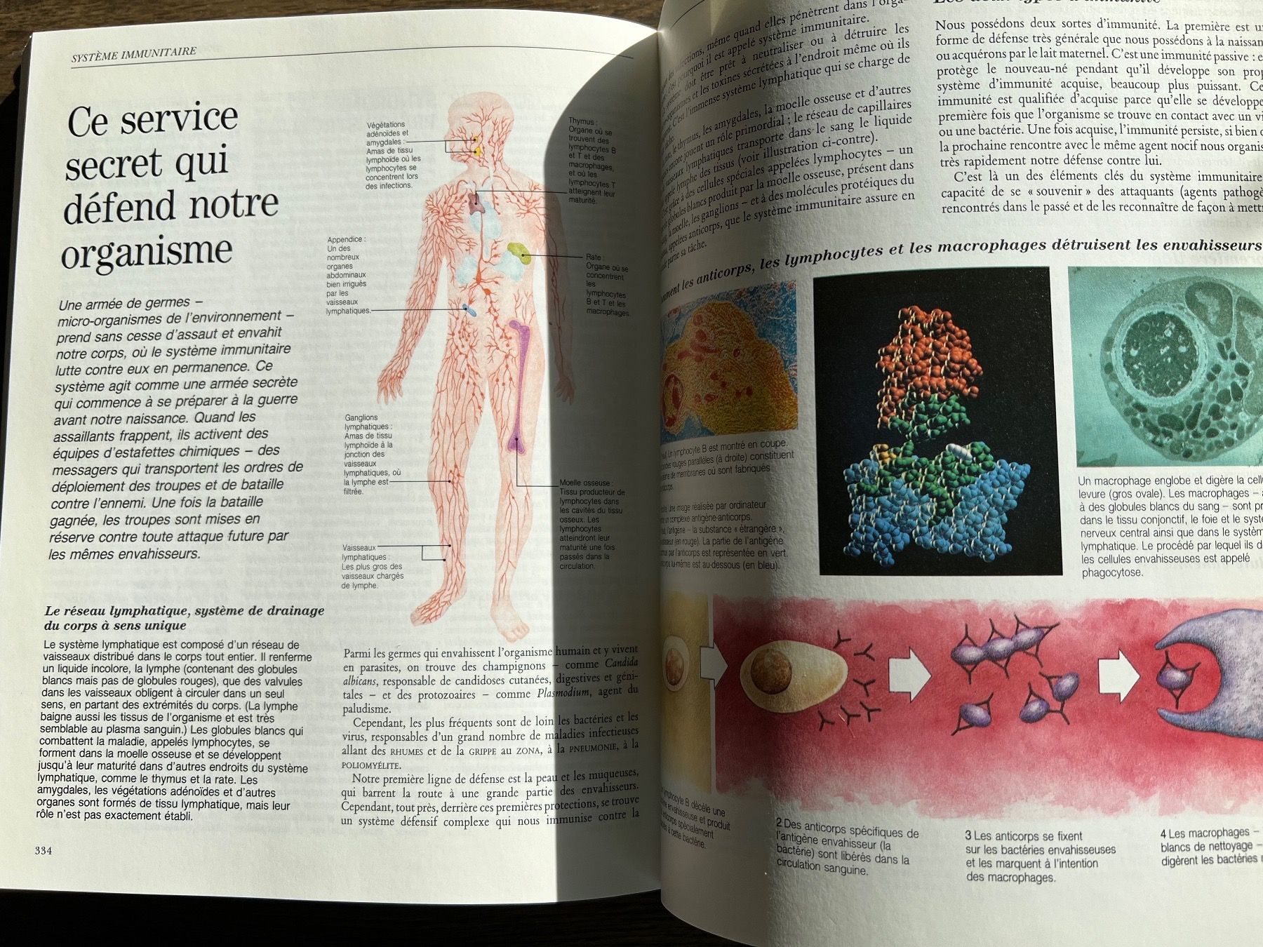 Bücher: Guide familial des Médecines alternatives, – Gebraucht aus Onex von mirza02 2