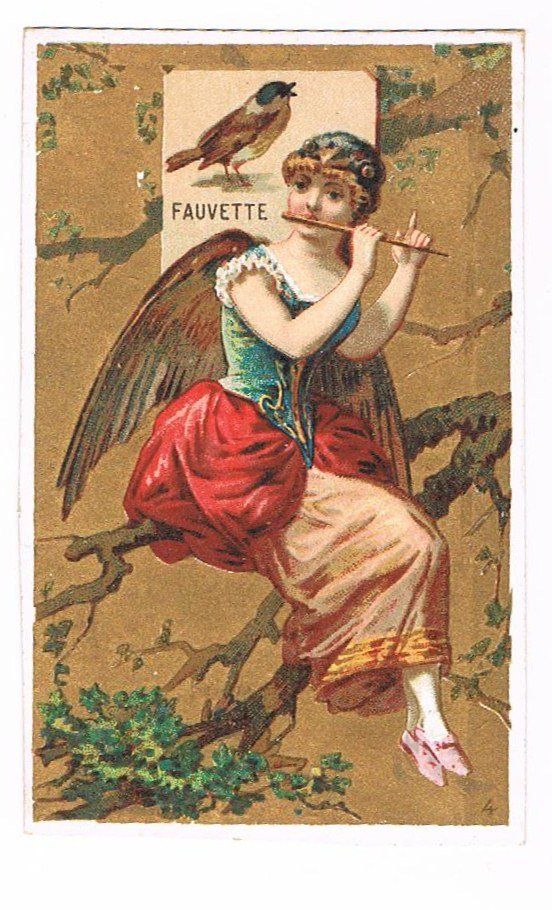 Cartoline postali: Cartes - Chromo – Usato da Genève venduto da edelweiss1900 2
