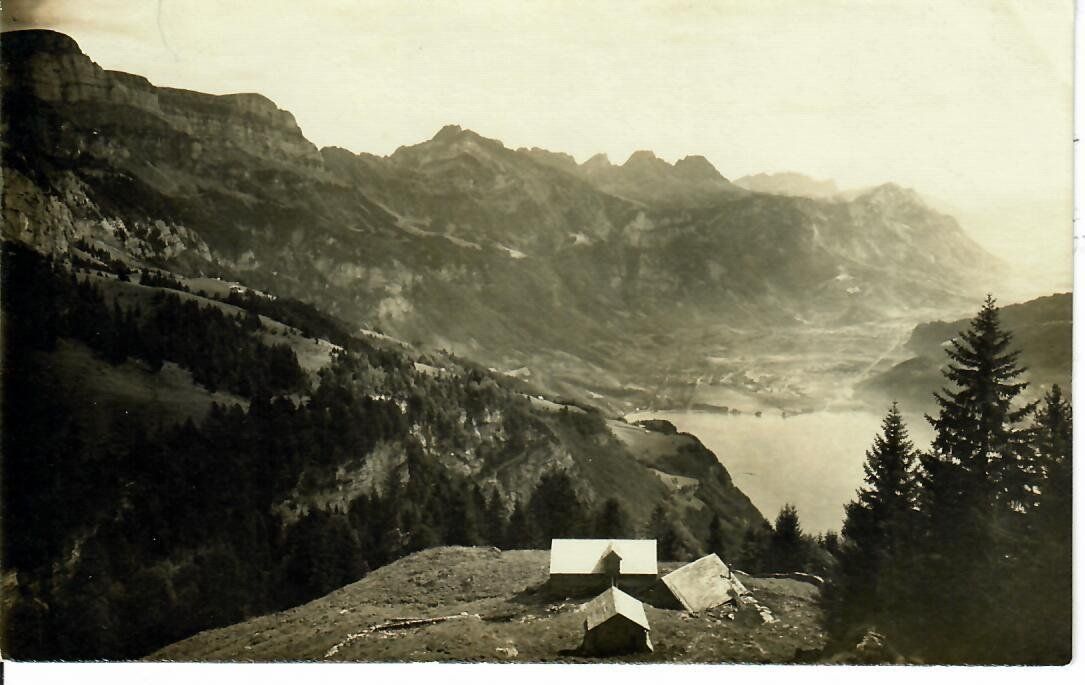 Cartoline postali: Selsalp mit Wallensee 1924 – Usato da Hochdorf venduto da Ziegel-16
